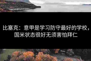 比塞克：意甲是学习防守最好的学校，国米状态很好无须害怕拜仁
