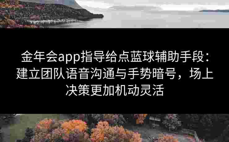 金年会app指导给点蓝球辅助手段：建立团队语音沟通与手势暗号，场上决策更加机动灵活